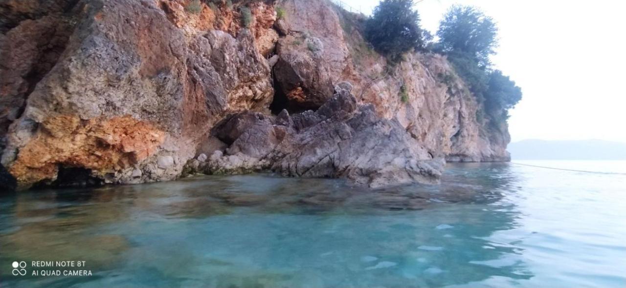 Artemis House Vlore