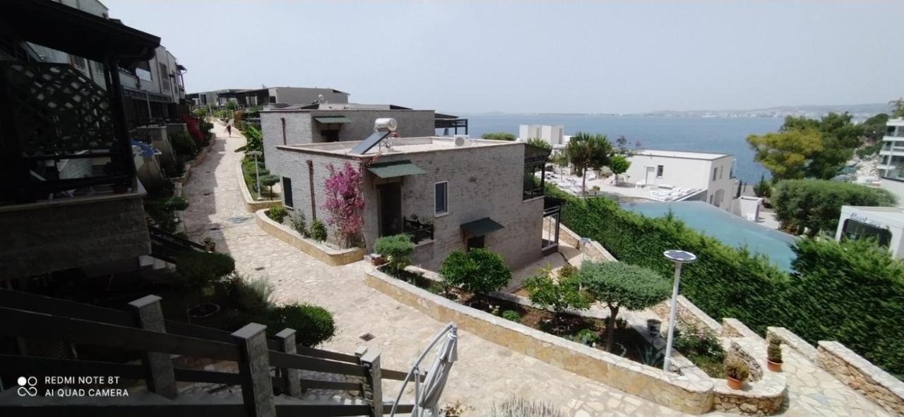 Artemis House